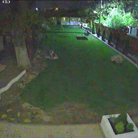 Izabella Guest House Săcele Dış mekan fotoğraf