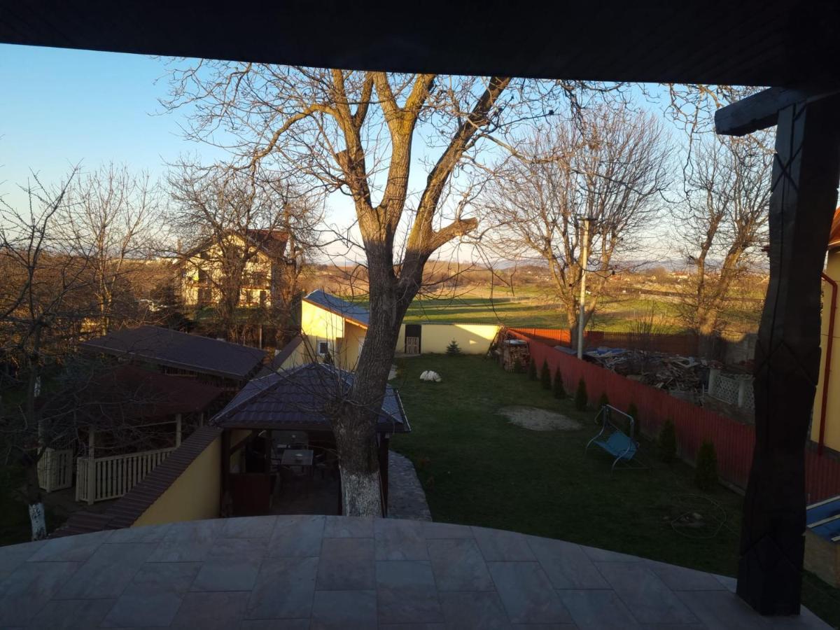 Izabella Guest House Săcele Dış mekan fotoğraf