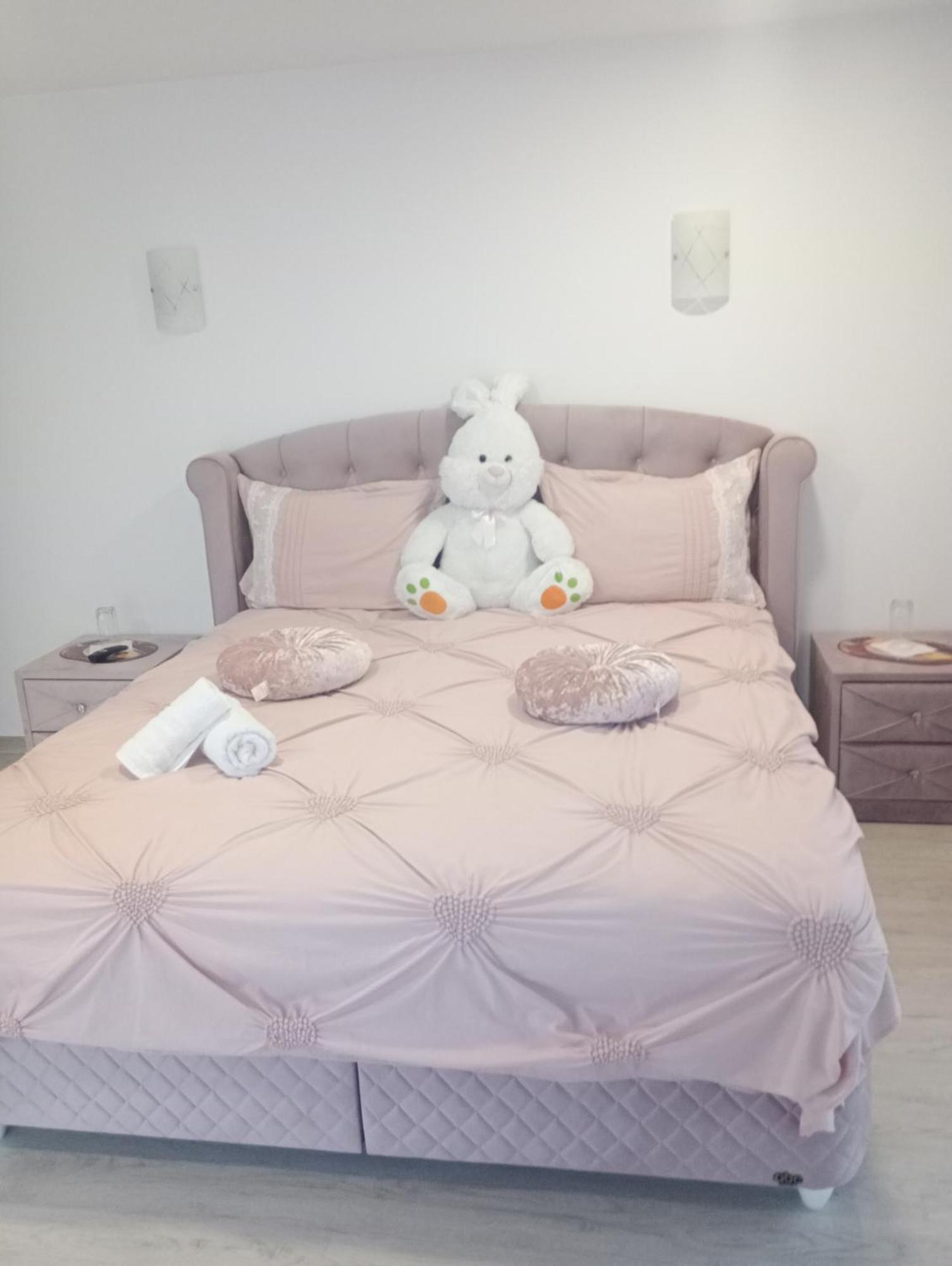 Izabella Guest House Săcele Dış mekan fotoğraf