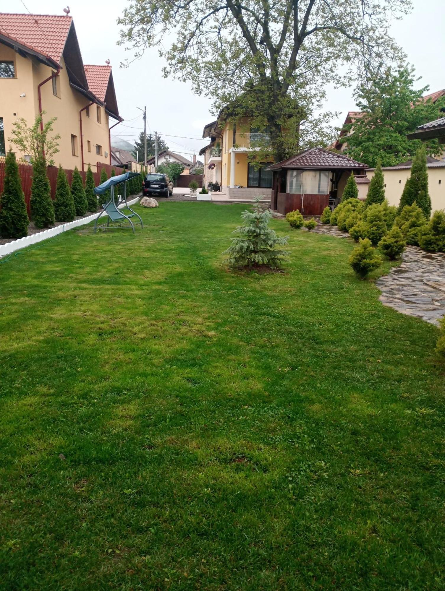 Izabella Guest House Săcele Dış mekan fotoğraf