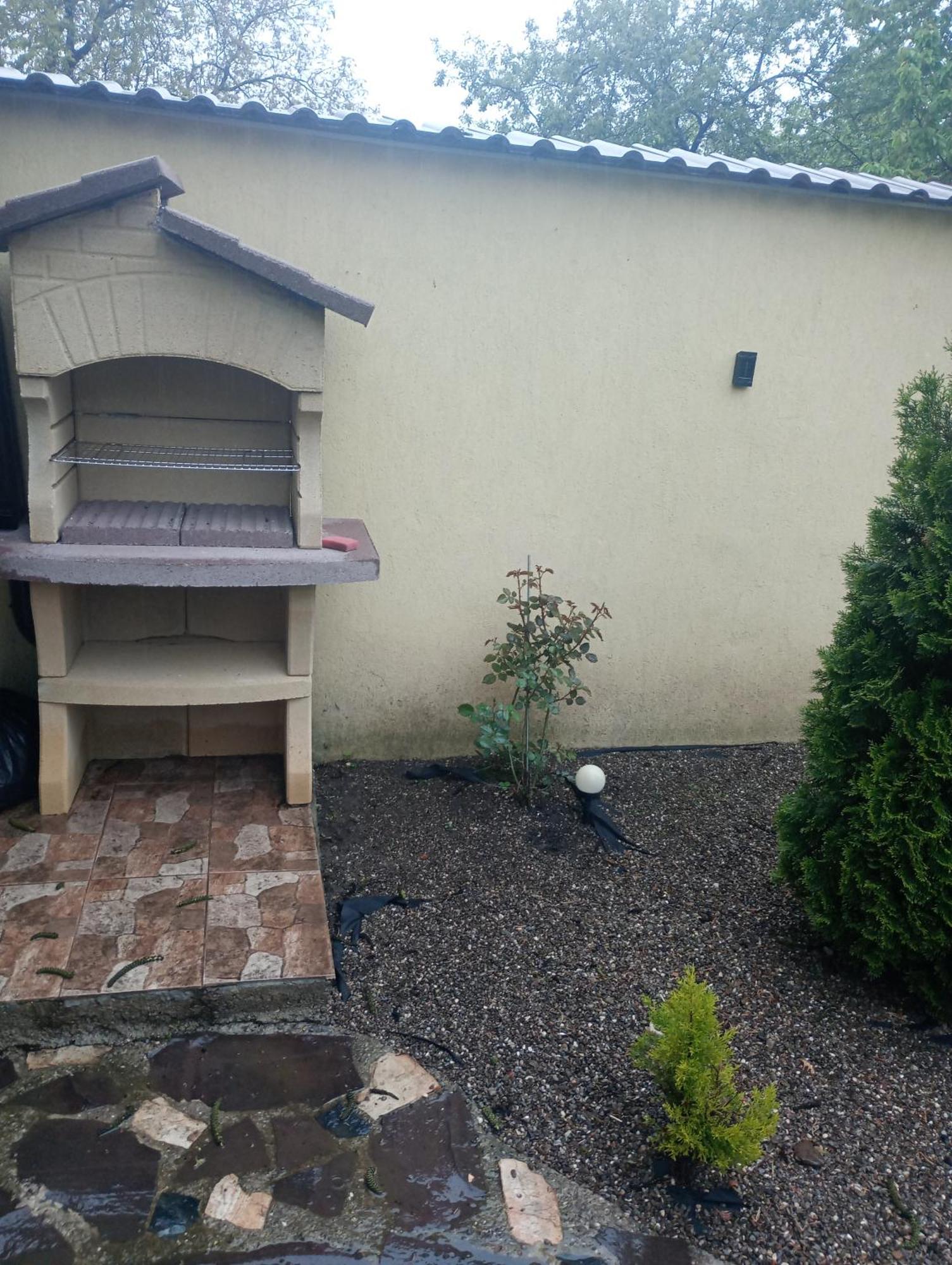 Izabella Guest House Săcele Dış mekan fotoğraf