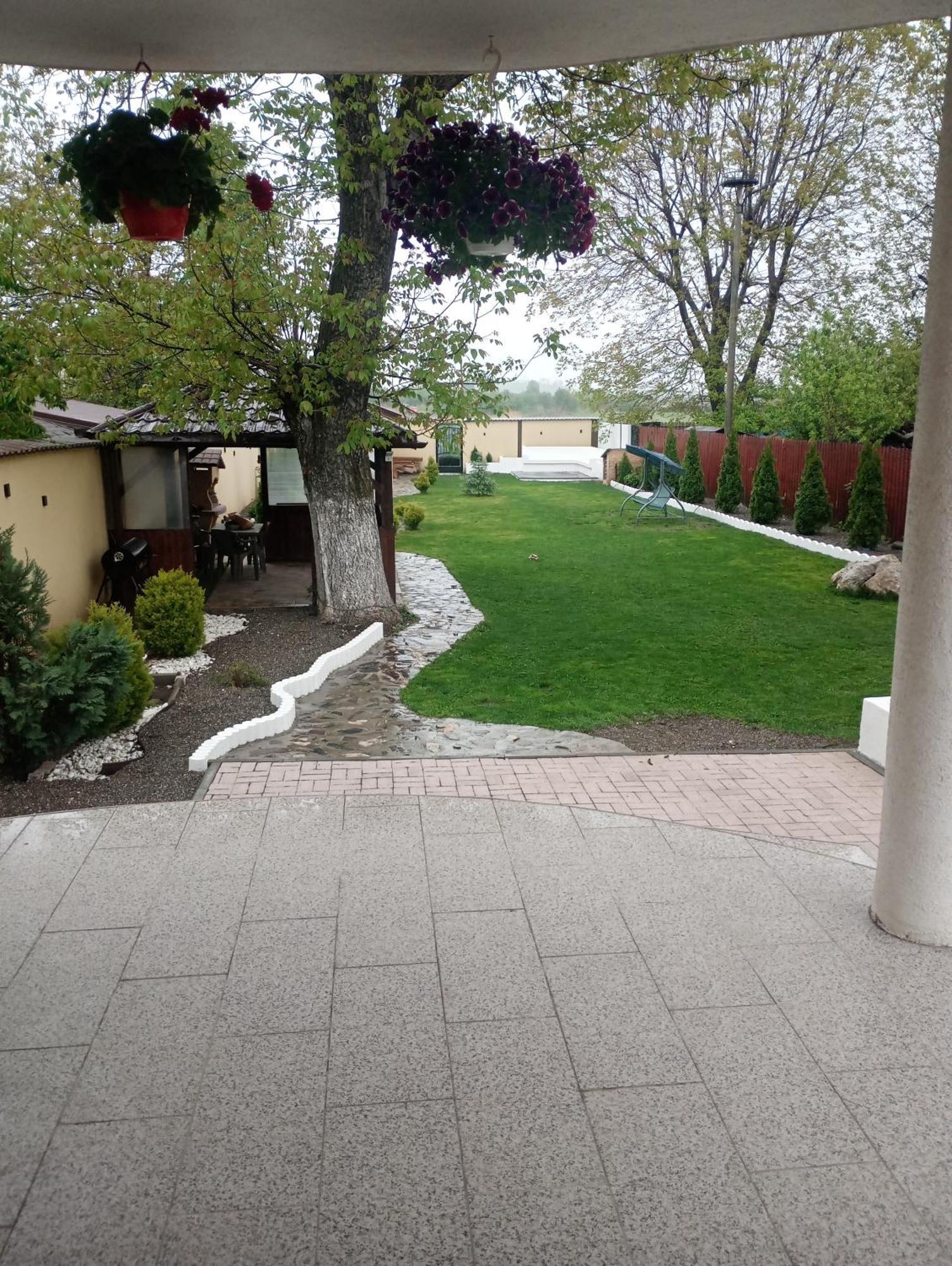Izabella Guest House Săcele Dış mekan fotoğraf