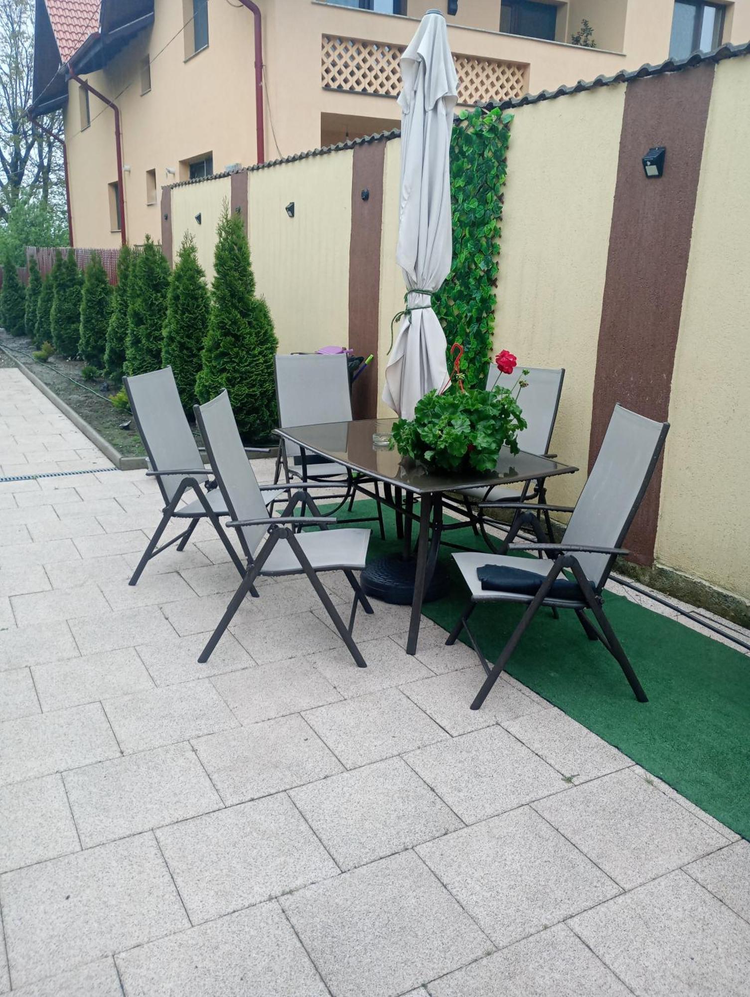 Izabella Guest House Săcele Dış mekan fotoğraf