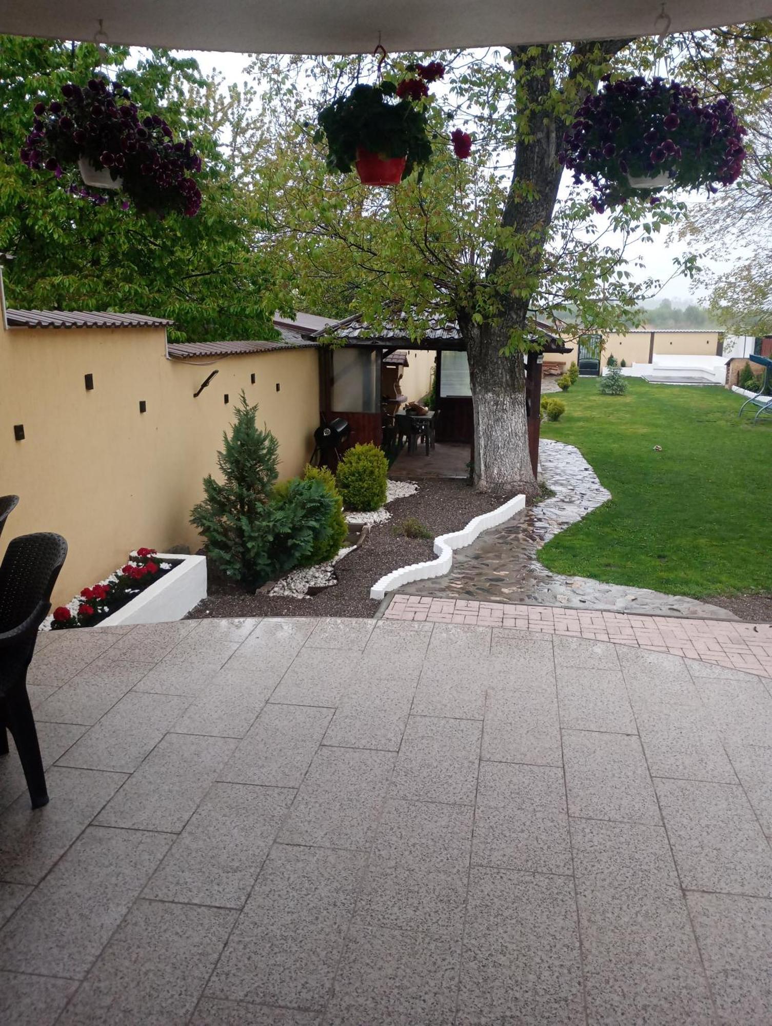 Izabella Guest House Săcele Dış mekan fotoğraf