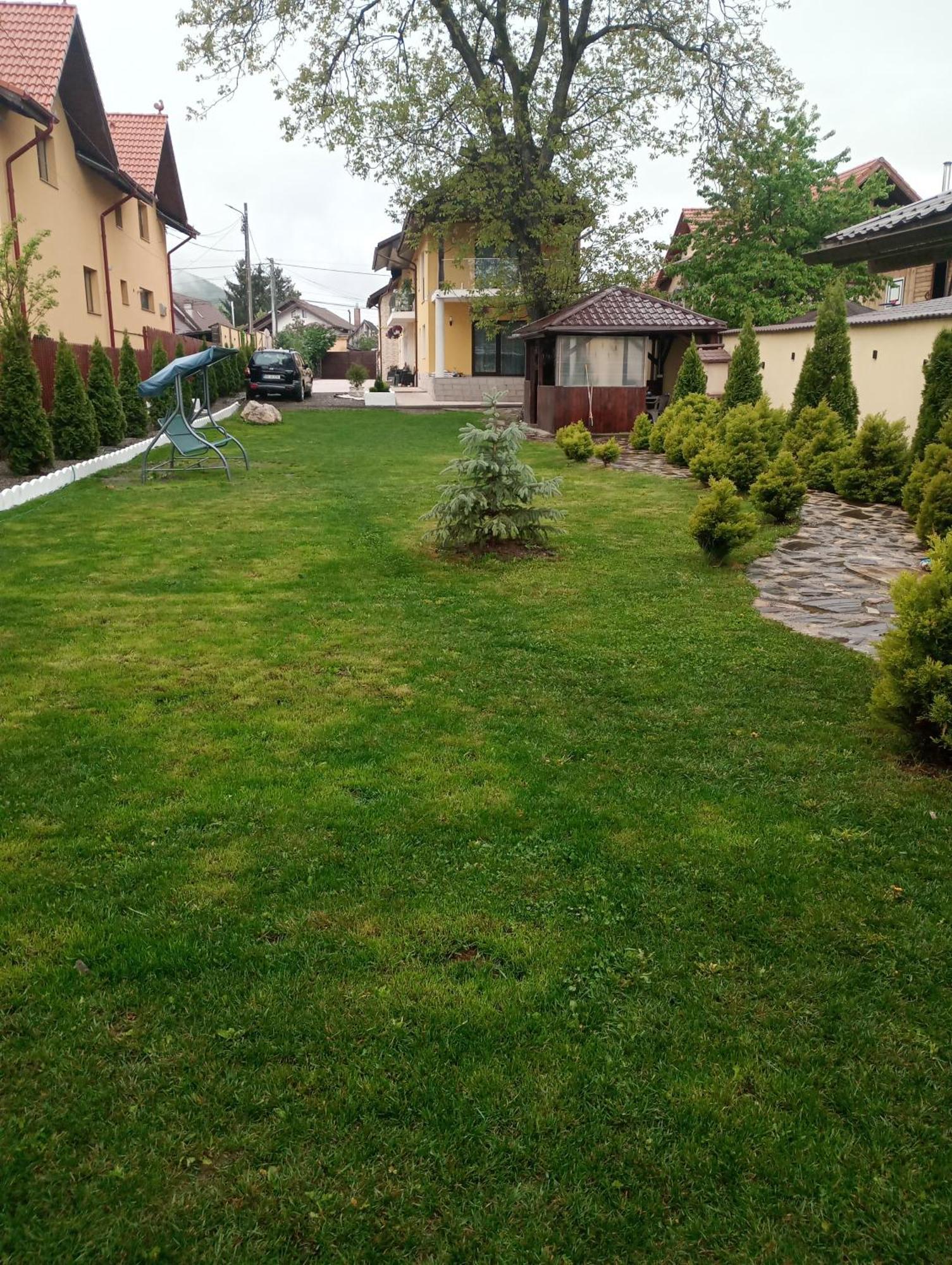 Izabella Guest House Săcele Dış mekan fotoğraf