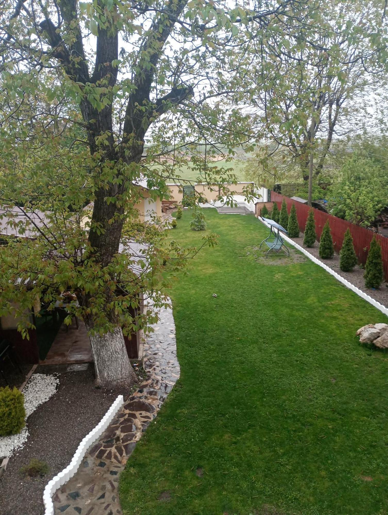 Izabella Guest House Săcele Dış mekan fotoğraf