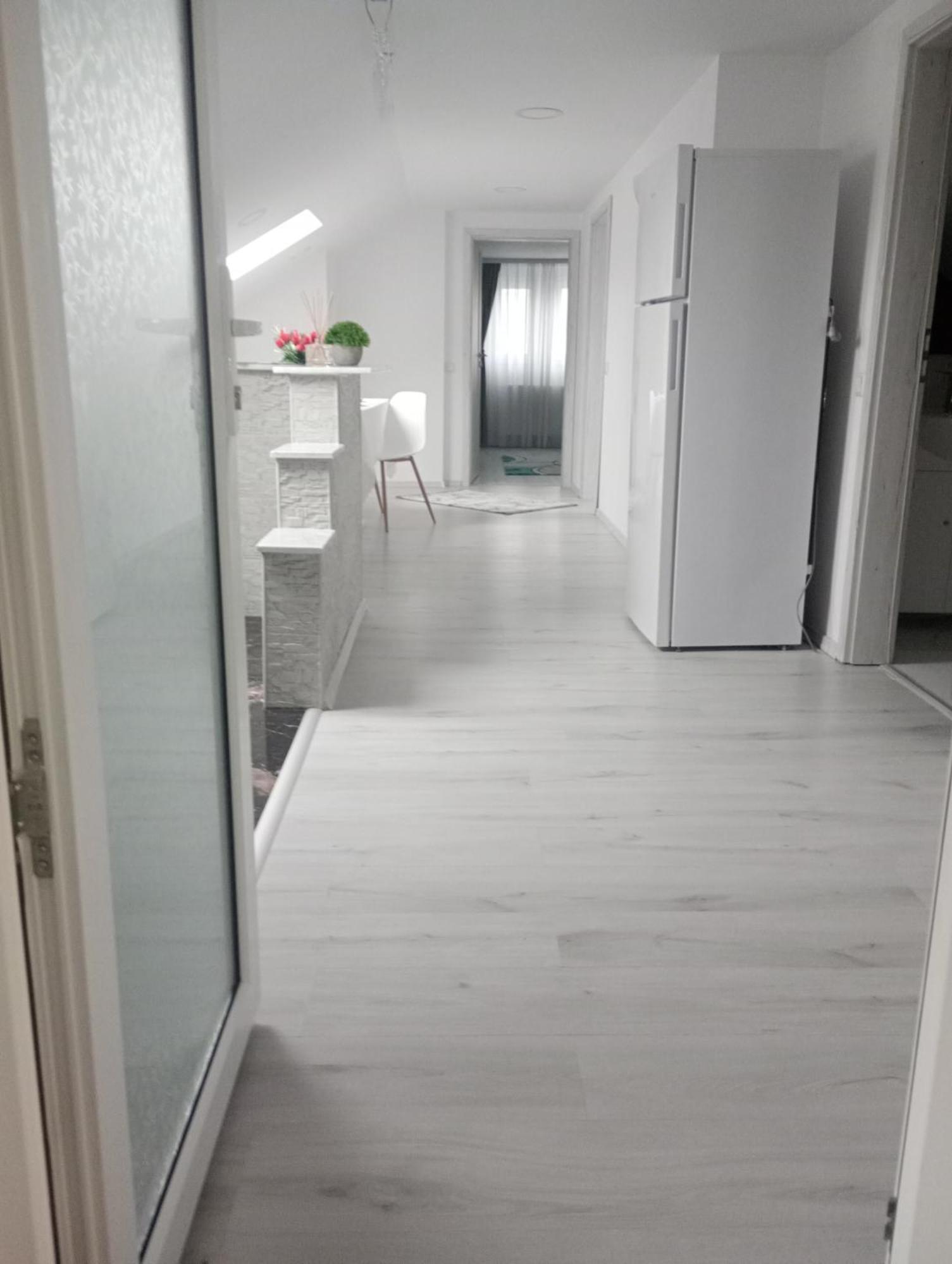 Izabella Guest House Săcele Dış mekan fotoğraf