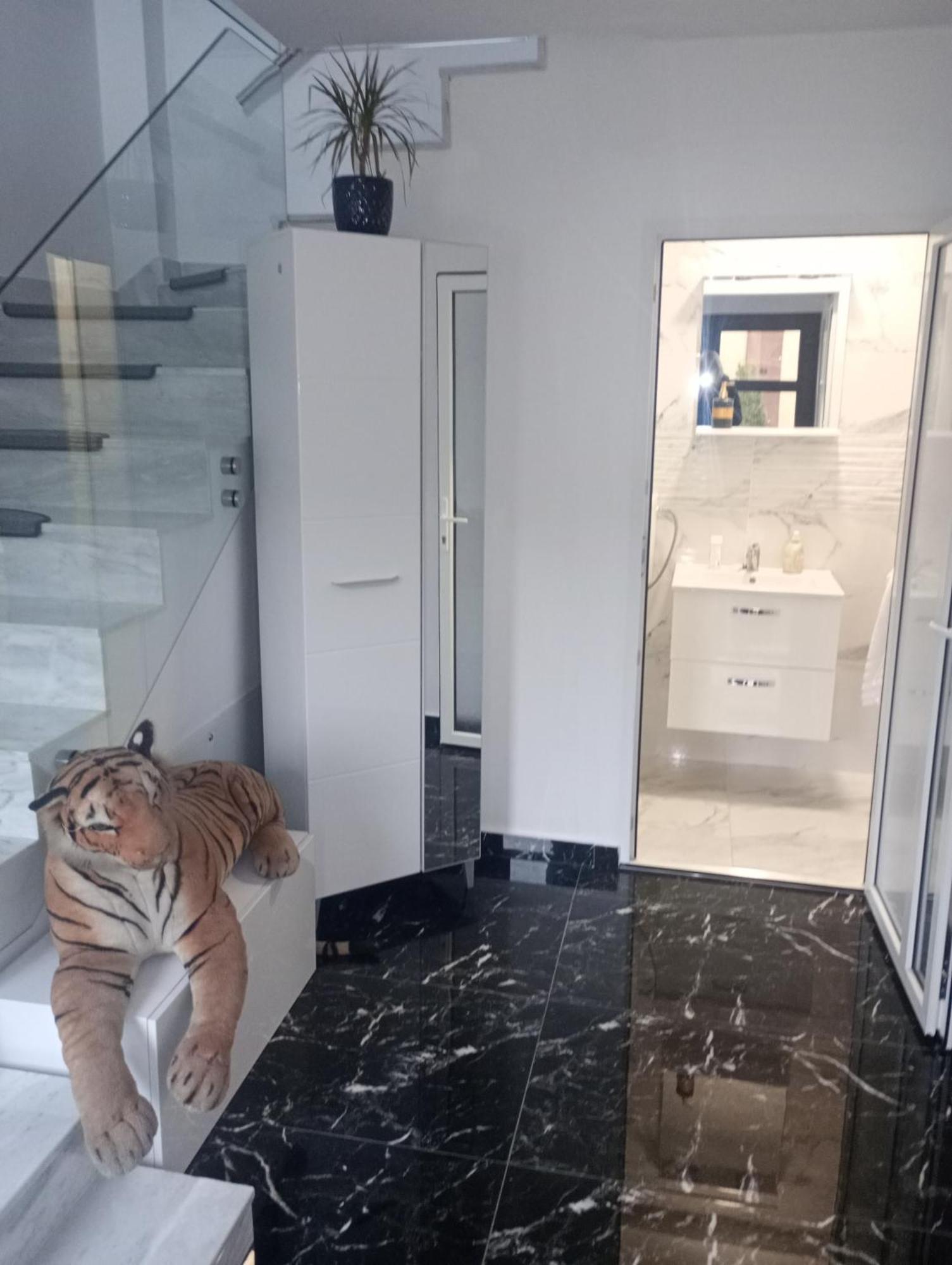 Izabella Guest House Săcele Dış mekan fotoğraf