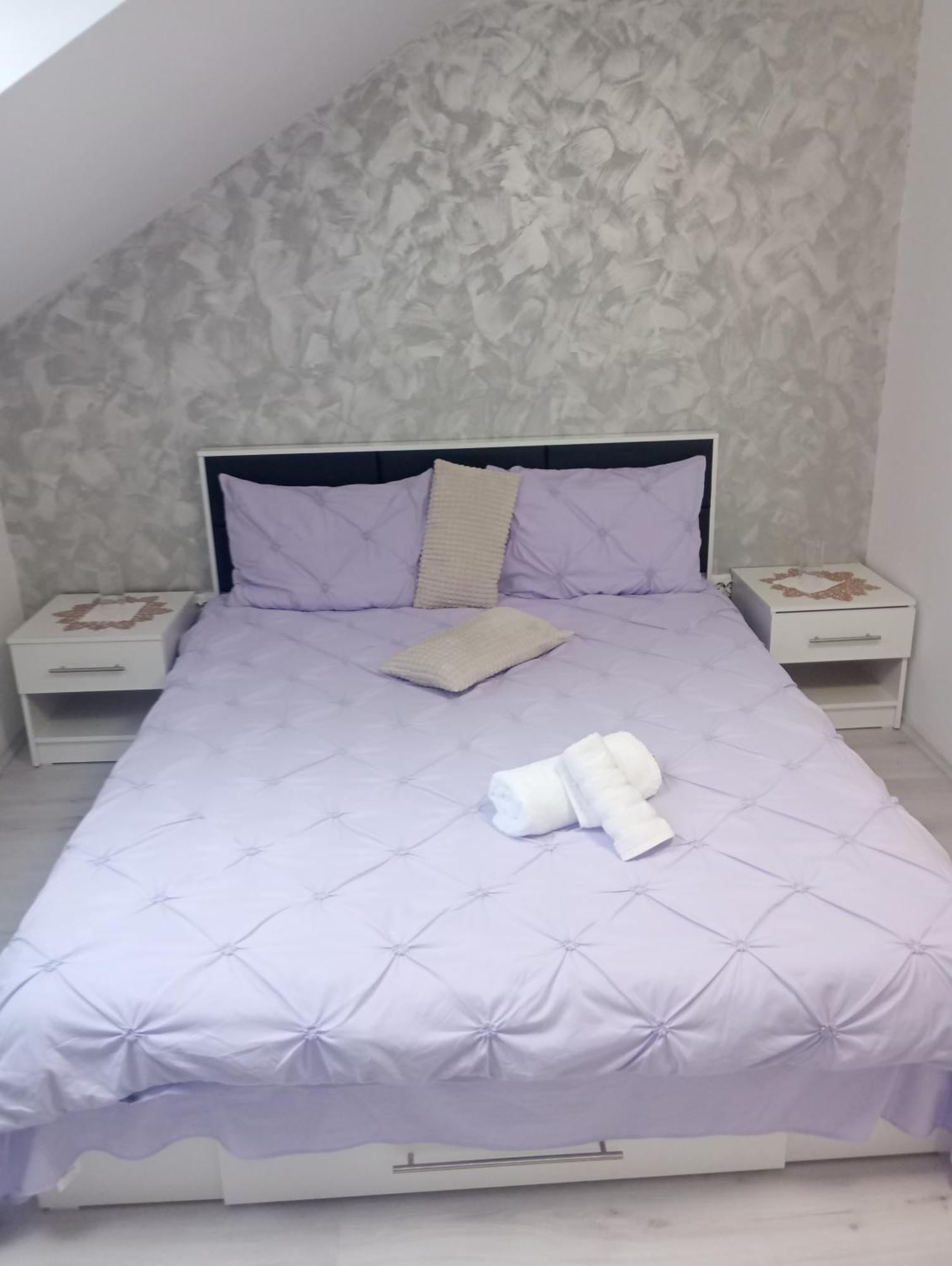 Izabella Guest House Săcele Dış mekan fotoğraf