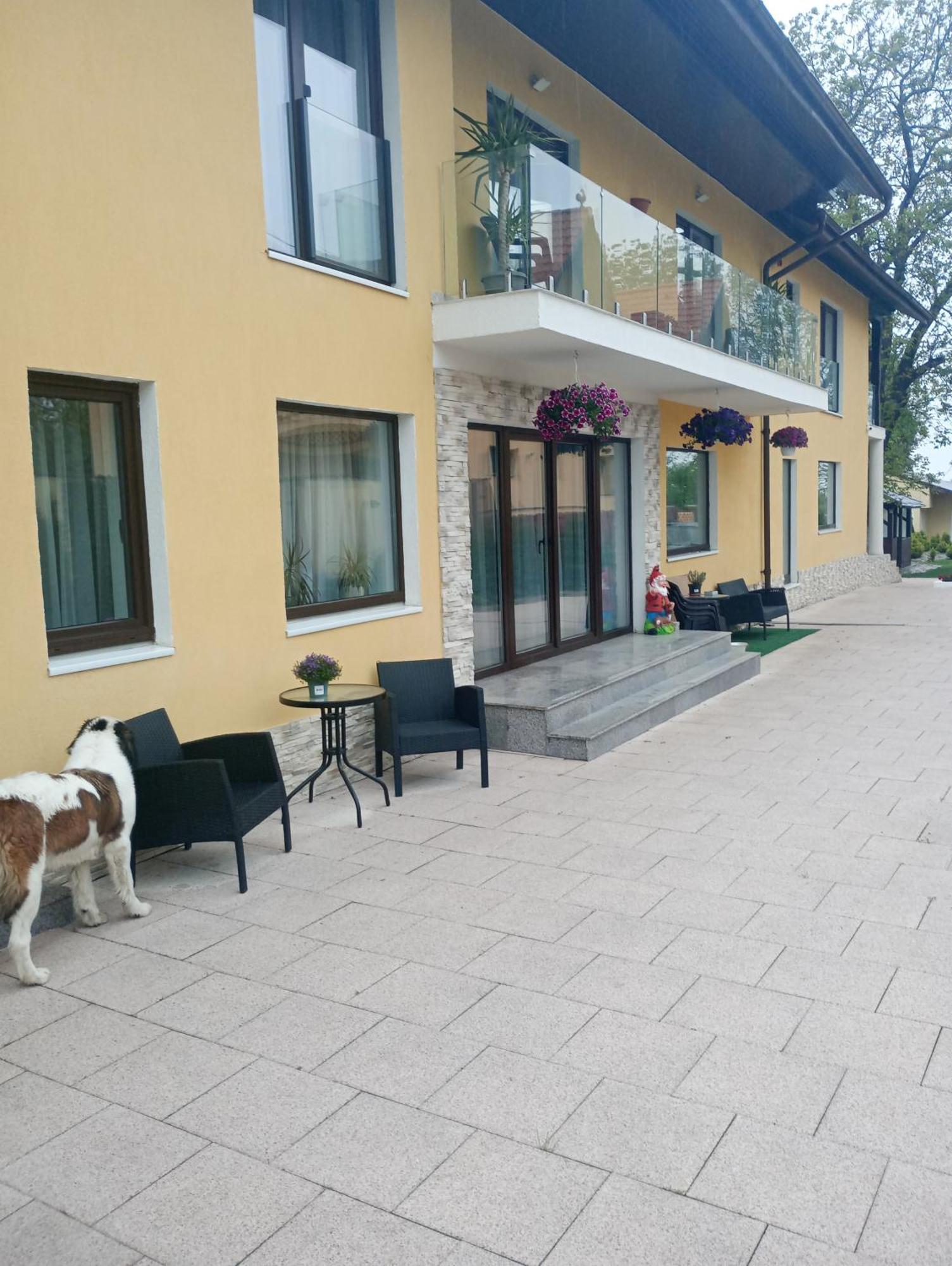 Izabella Guest House Săcele Dış mekan fotoğraf